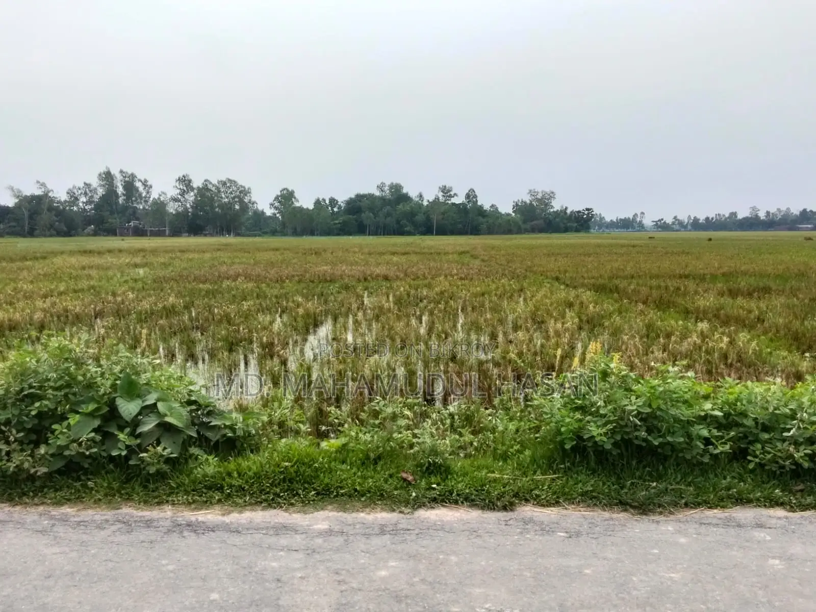 জমি বিক্রয় হবে