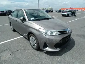 Toyota Axio 2021 Brown