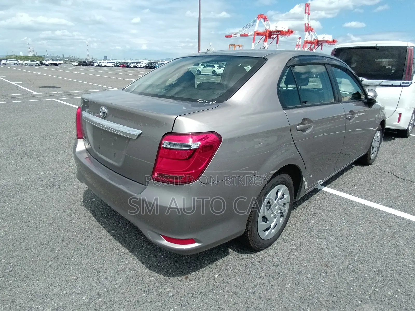 Toyota Axio 2021 Brown