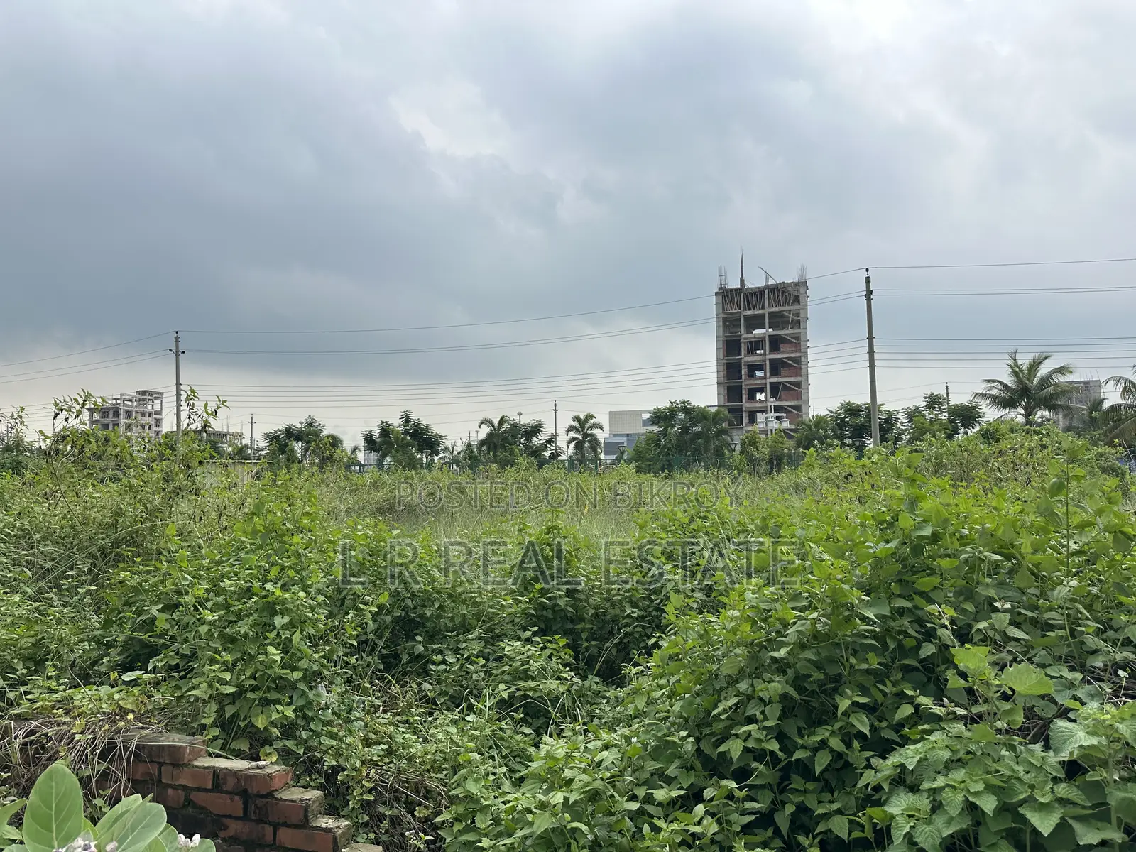 Block-N, 3-Katha, South-Face, Near Community Park, Bashundhara R/A