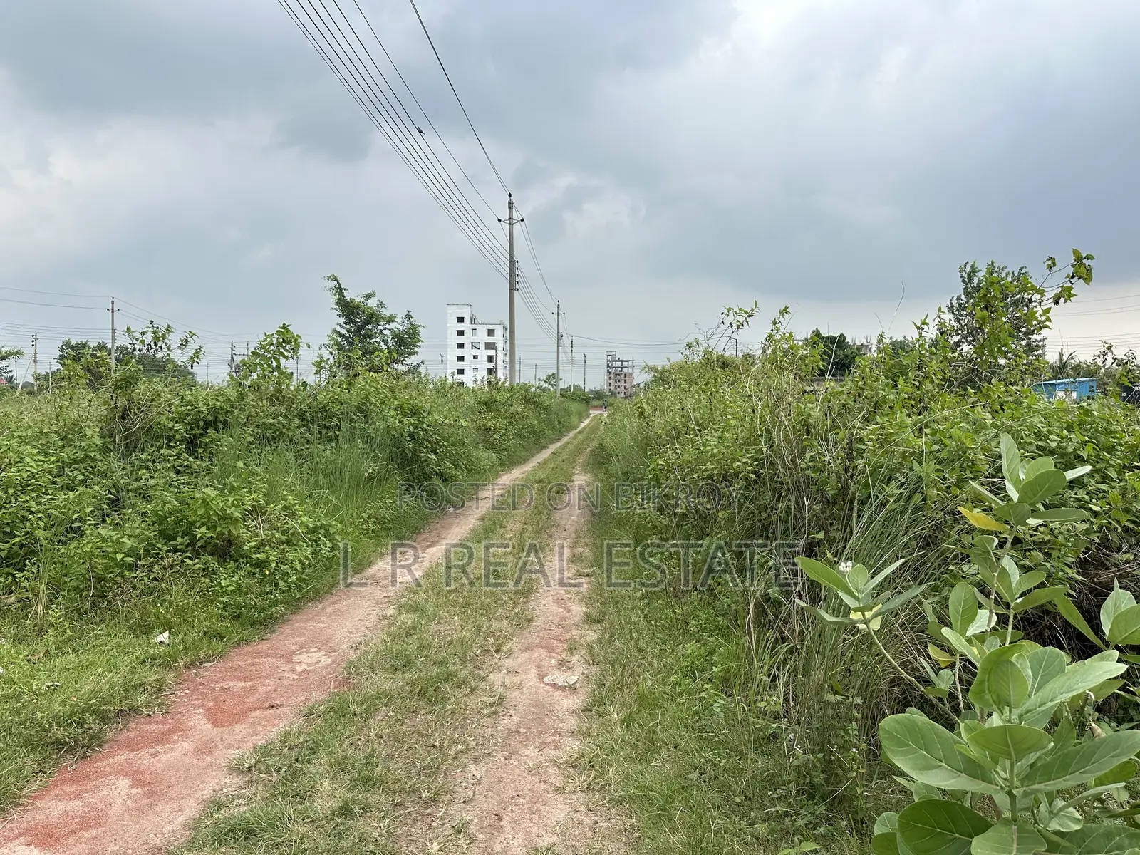 Block-N, 3-Katha, South-Face, Near Community Park, Bashundhara R/A