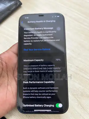 Apple iPhone 12 Pro Max 256 GB Blue