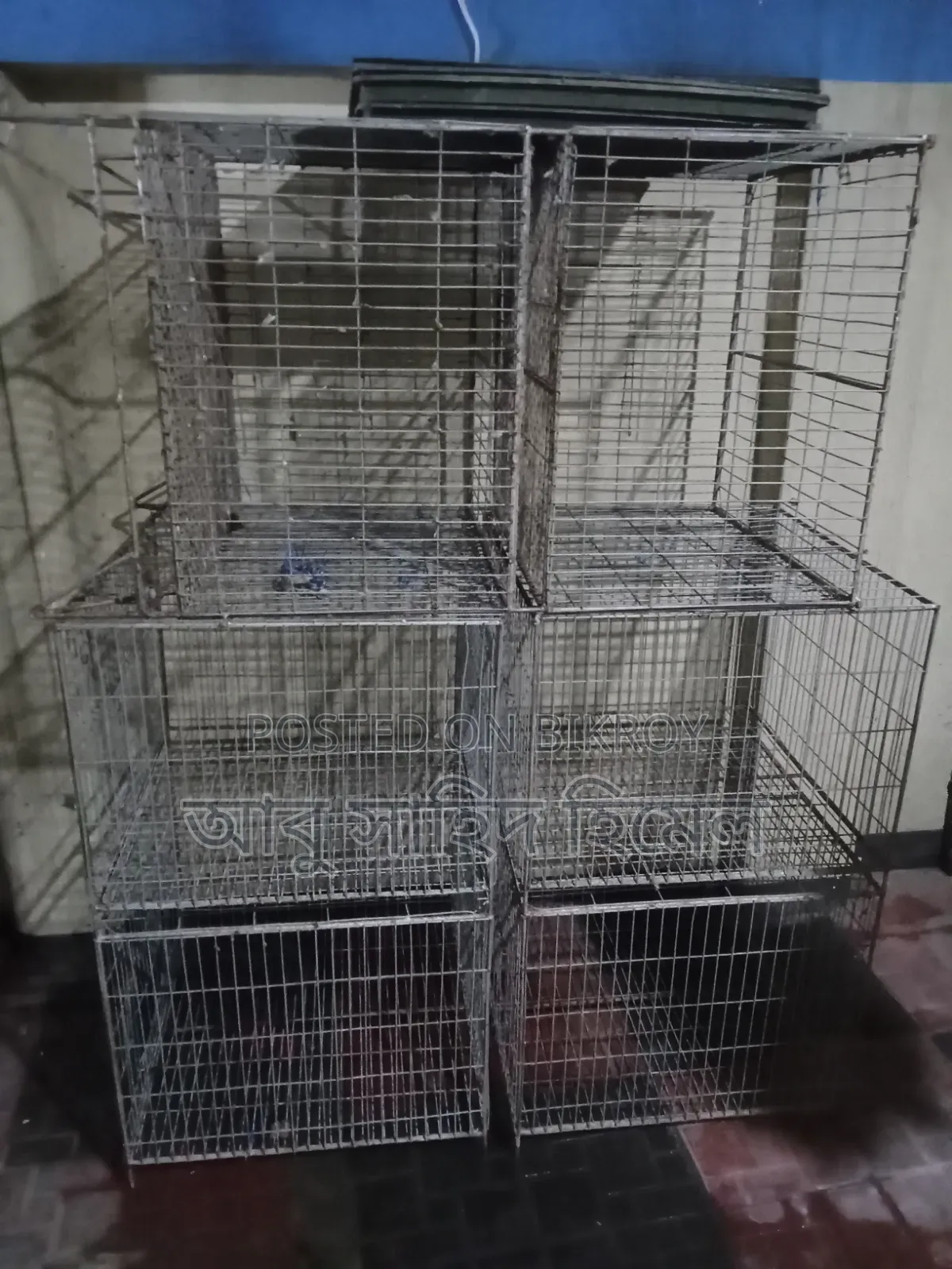 Bird Cage