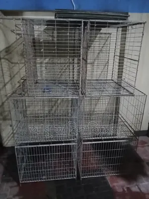 Bird Cage