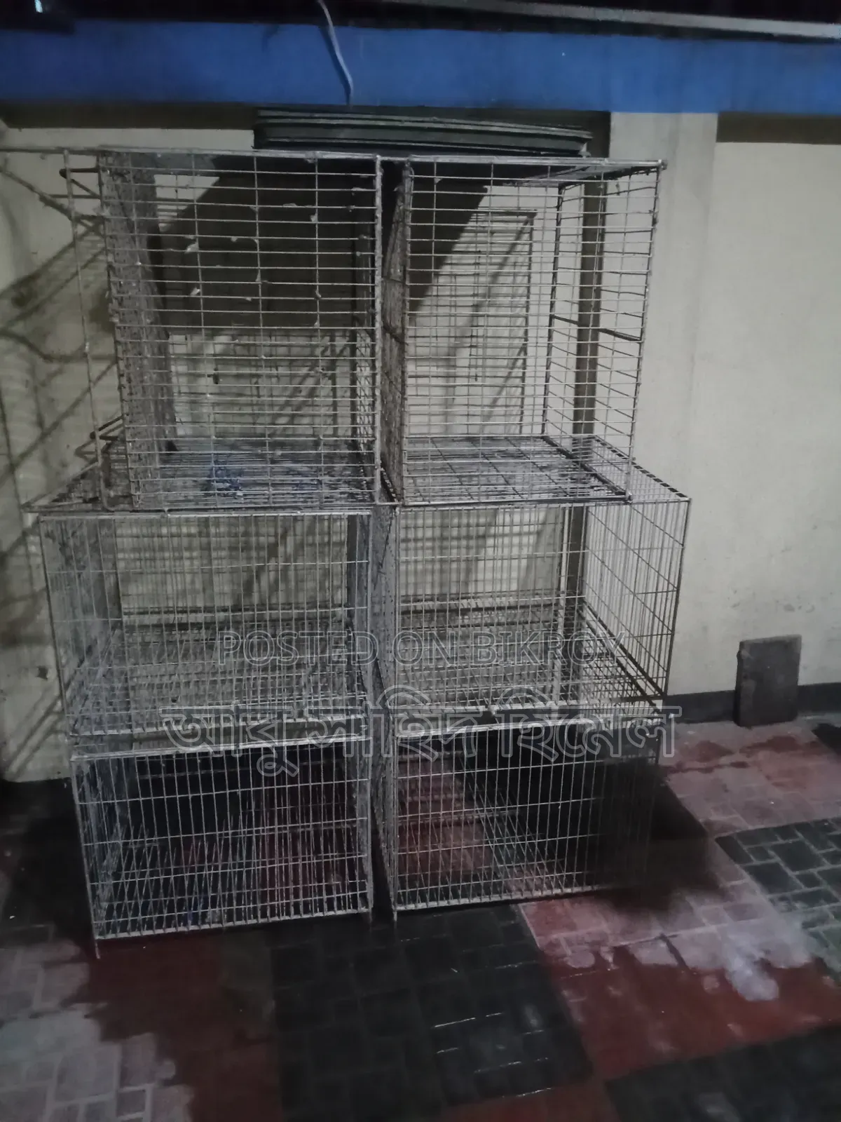 Bird Cage