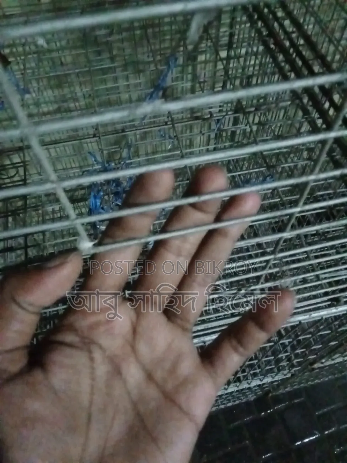 Bird Cage