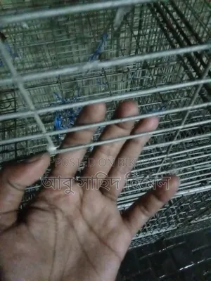 Bird Cage