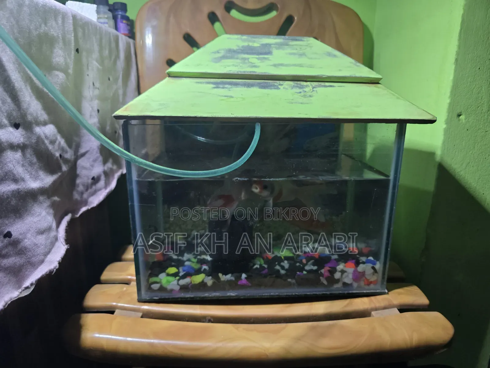 Aquarium Set