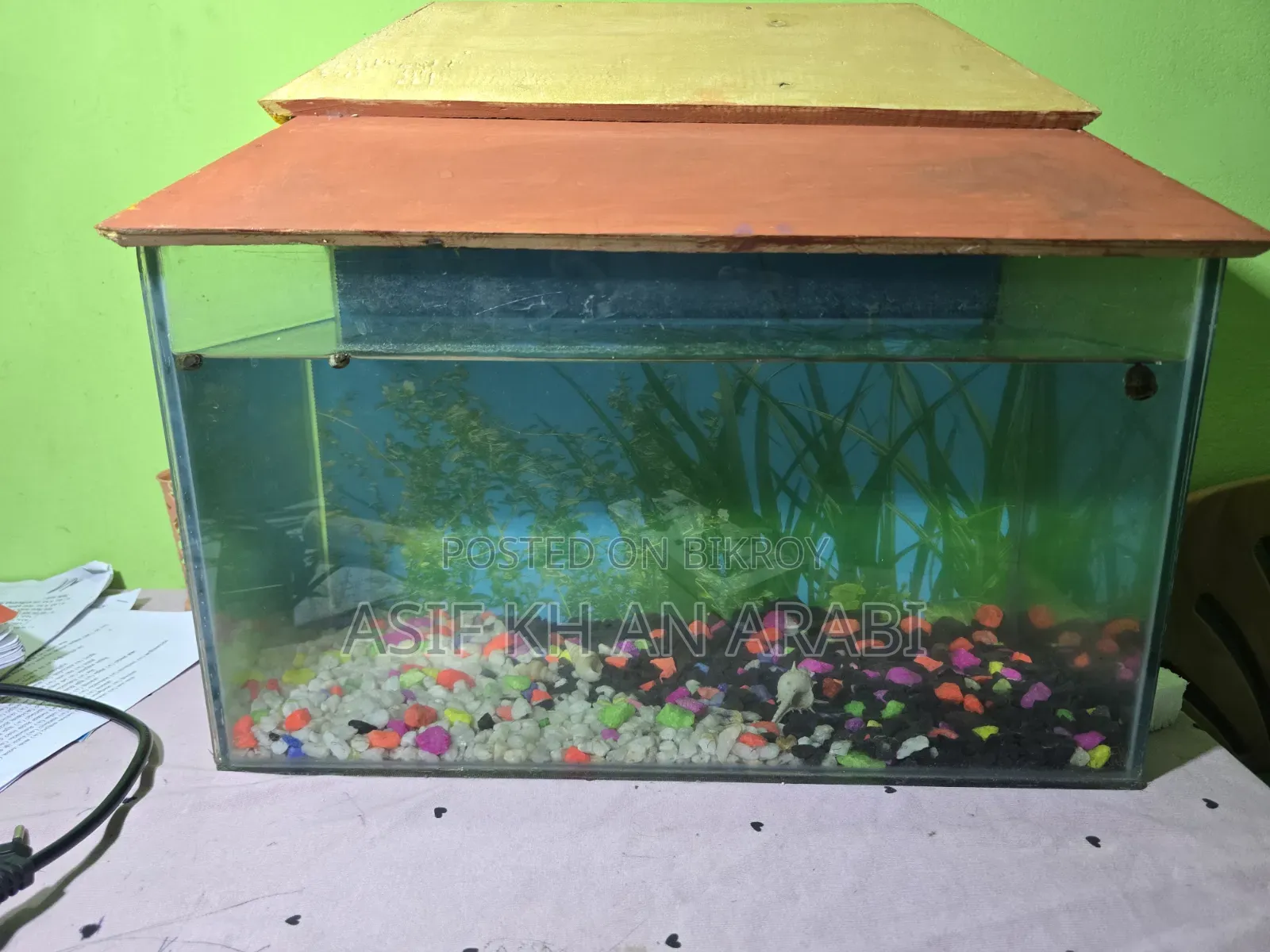 Aquarium Set