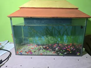 Aquarium Set