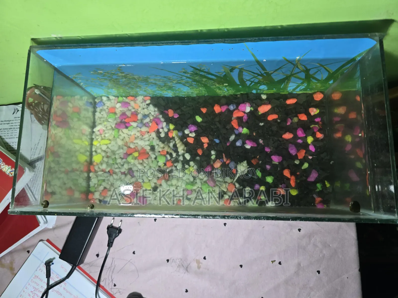 Aquarium Set