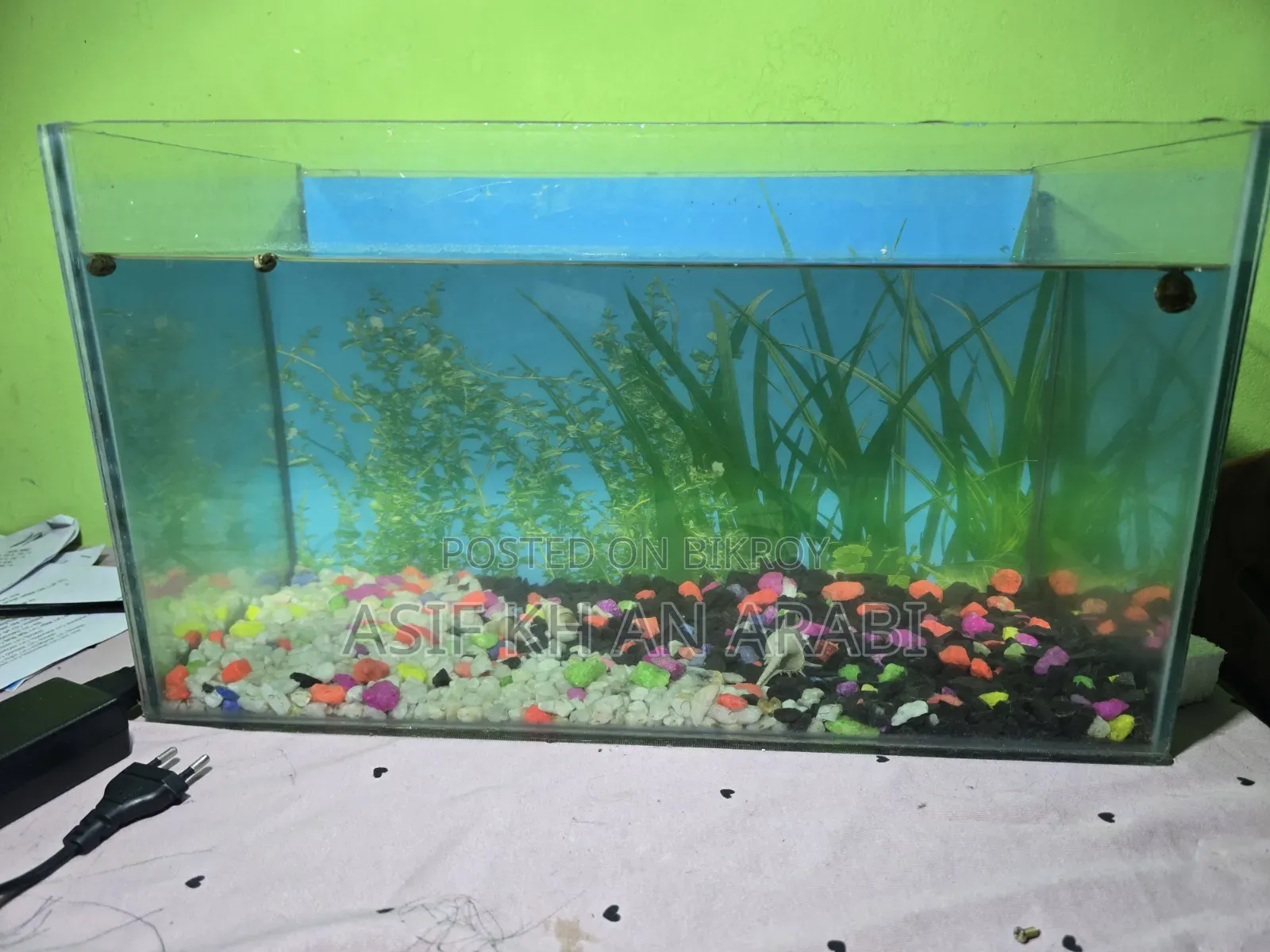 Aquarium Set