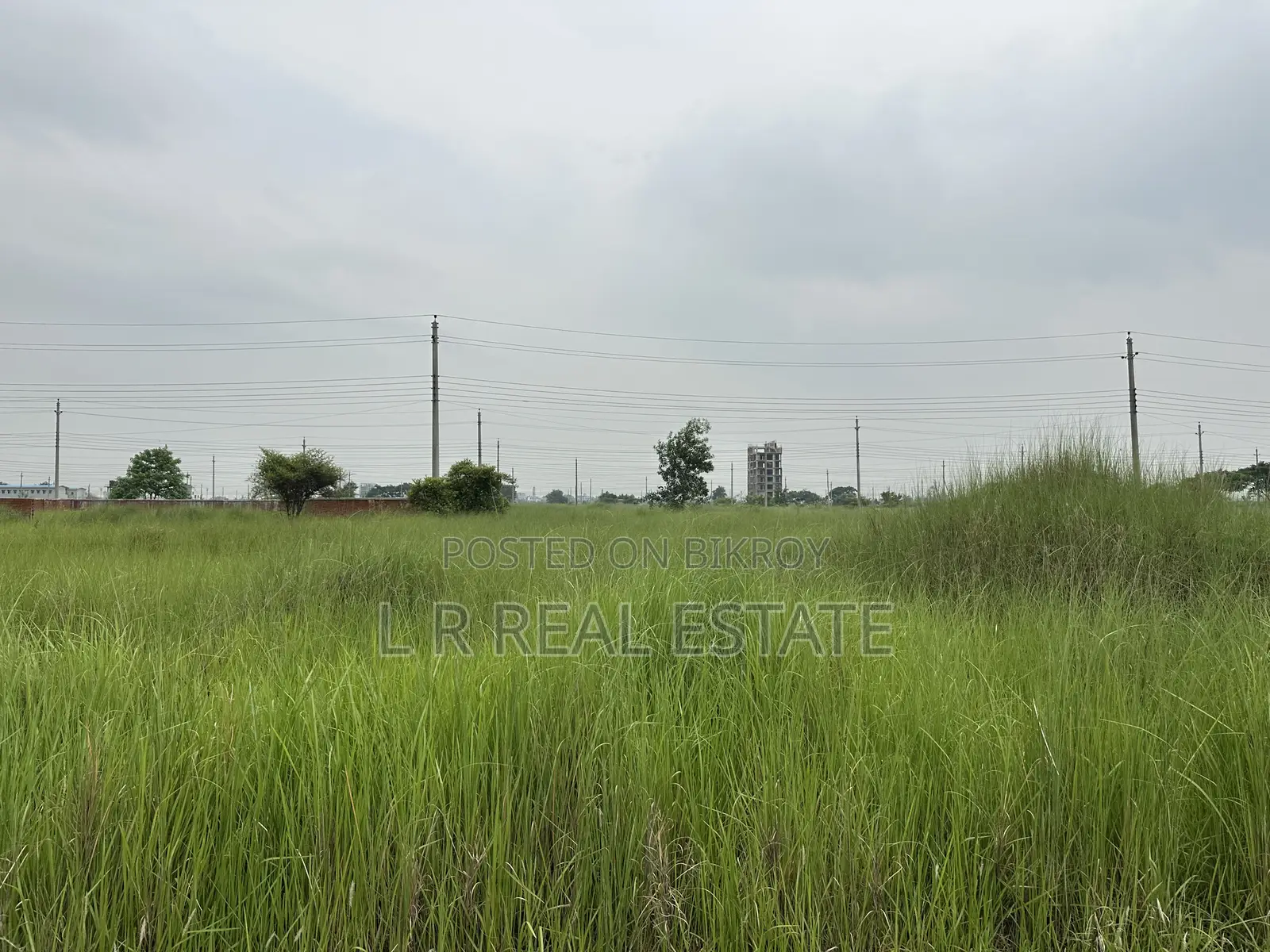 Block-P Extension, 4-Katha, Serial-1300, Bashundhara R/A