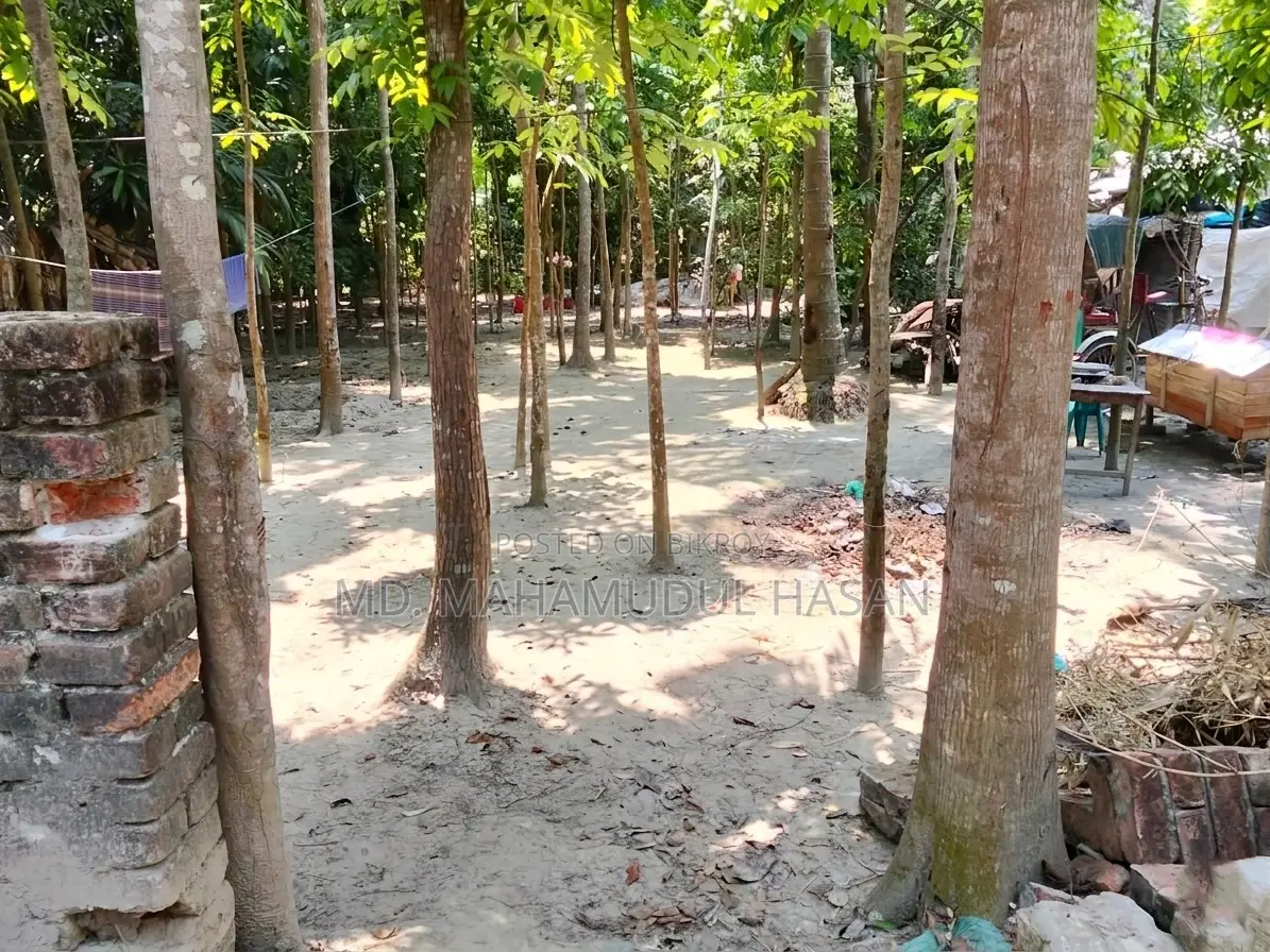 Land For Sale