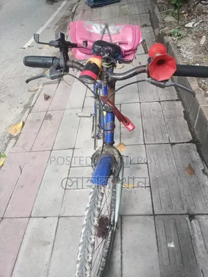 বাড়ি চলে যাই বিক্রি করে দিতাছি।