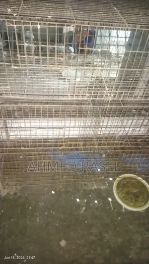 কবুতরের খাচা