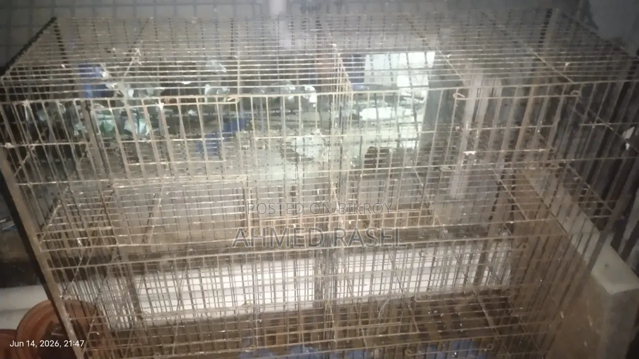 কবুতরের খাচা