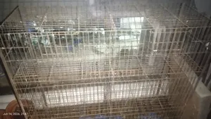 কবুতরের খাচা