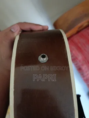 সিগনেচার গোগোস (চে গুয়েভারা এডিশন) সেমি-অ্যাকোস্টিক গিটার