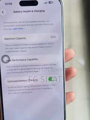 Apple iPhone 14 Pro Max 256 GB Silver