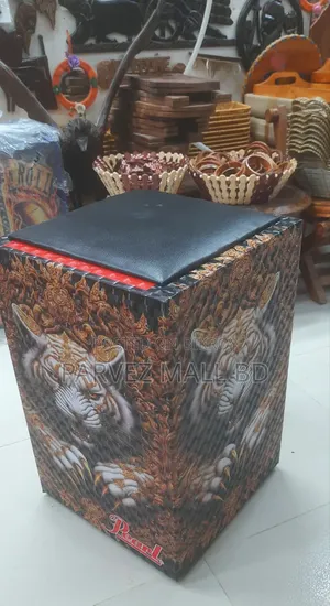 Big Size Professional Cajon/Bass Drum Electrical-1 Piece