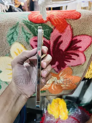 অ্যাপল আইফোন ১২ প্রো ম্যাক্স ২৫৬ জিবি রোজ গোল্ড