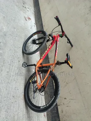 Phoenix Cycle