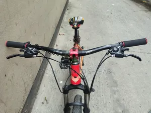 Phoenix Cycle