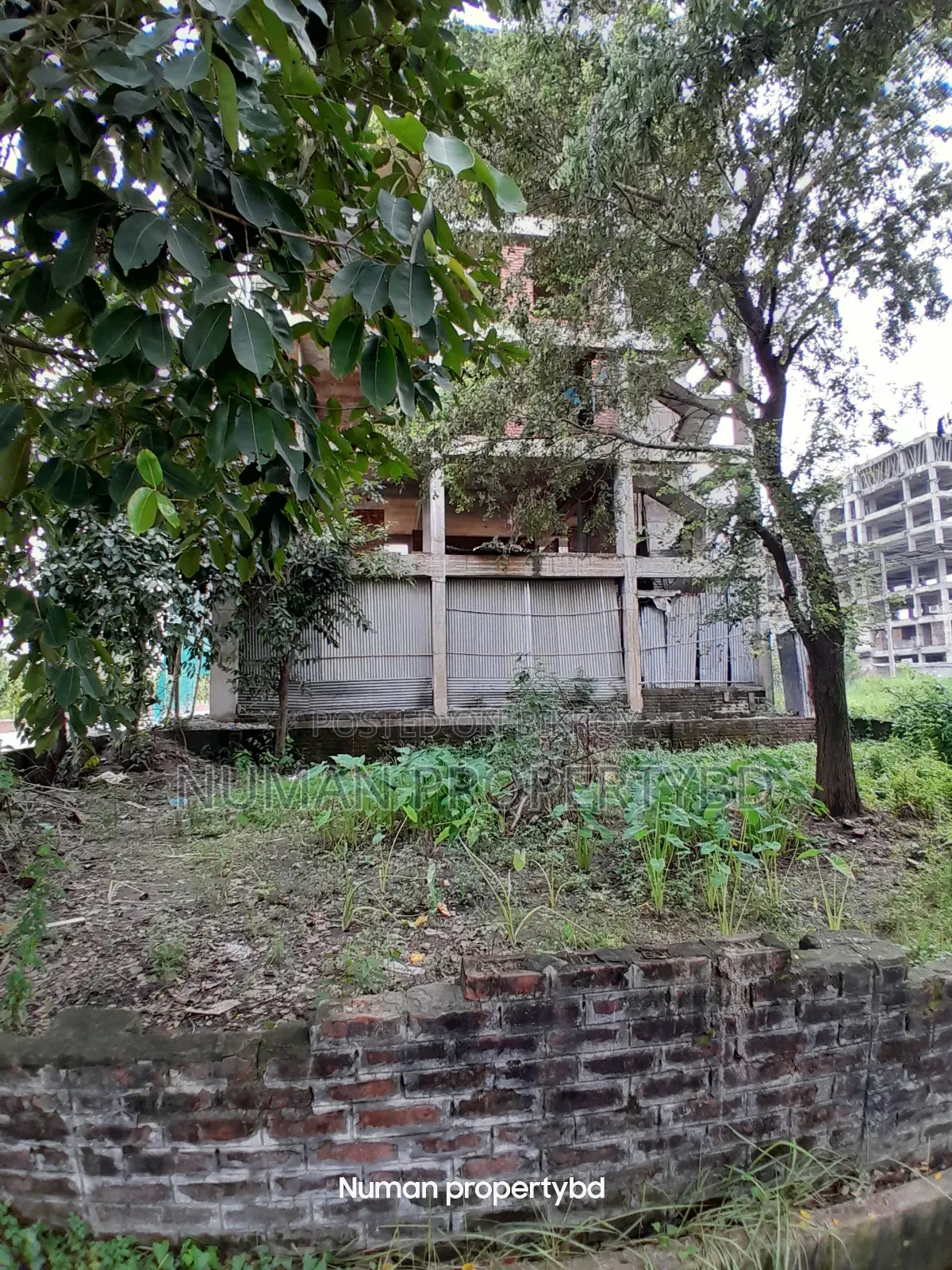 বসুন্ধরা আবাসিক এলাকায় ১০ কাঠার দক্ষিণমুখী প্লট বিক্রয় হবে