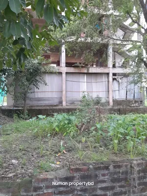 বসুন্ধরা আবাসিক এলাকায় ১০ কাঠার দক্ষিণমুখী প্লট বিক্রয় হবে