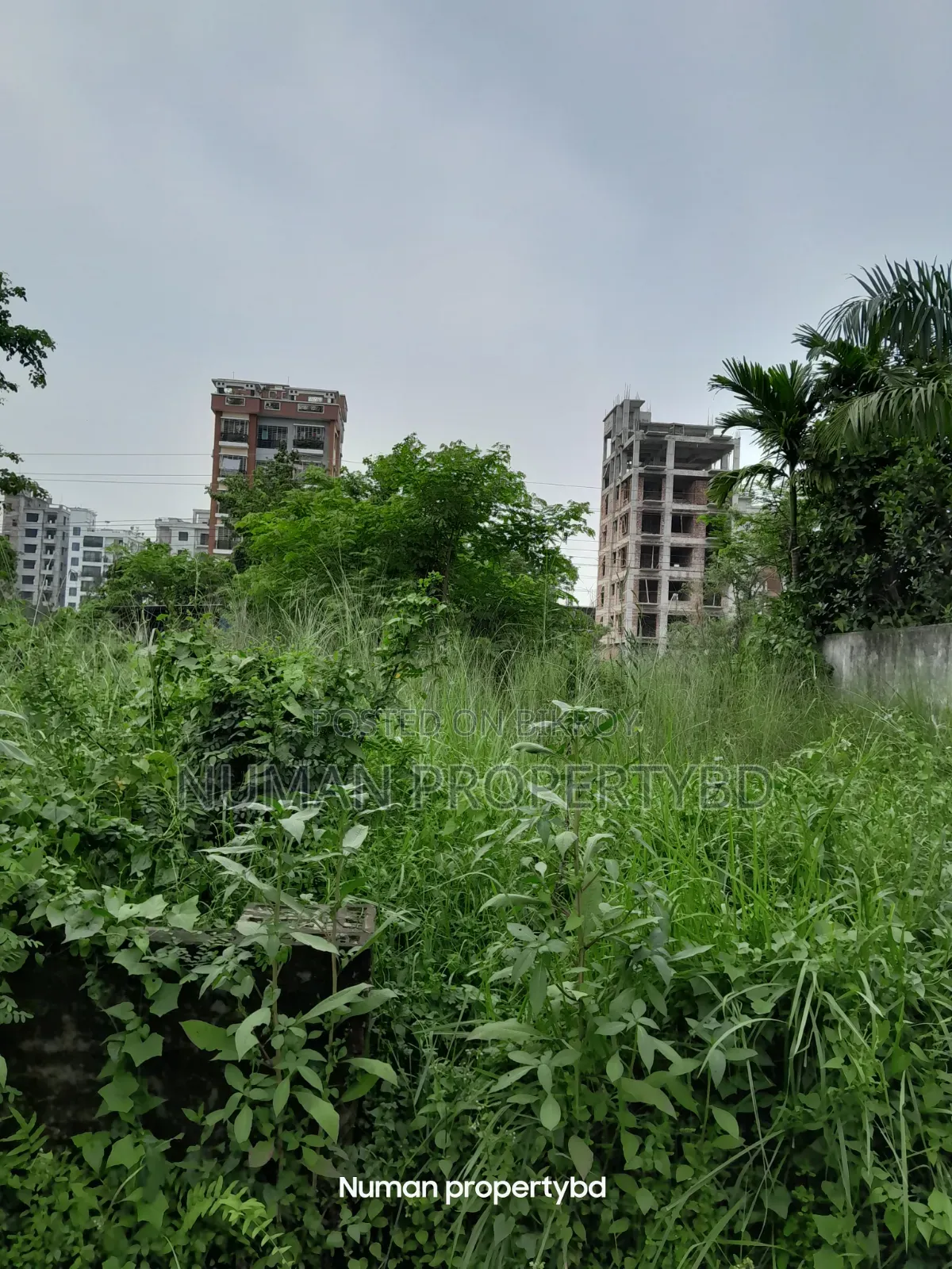 বসুন্ধরা আবাসিক এলাকায় ১০ কাঠার দক্ষিণমুখী প্লট বিক্রয় হবে
