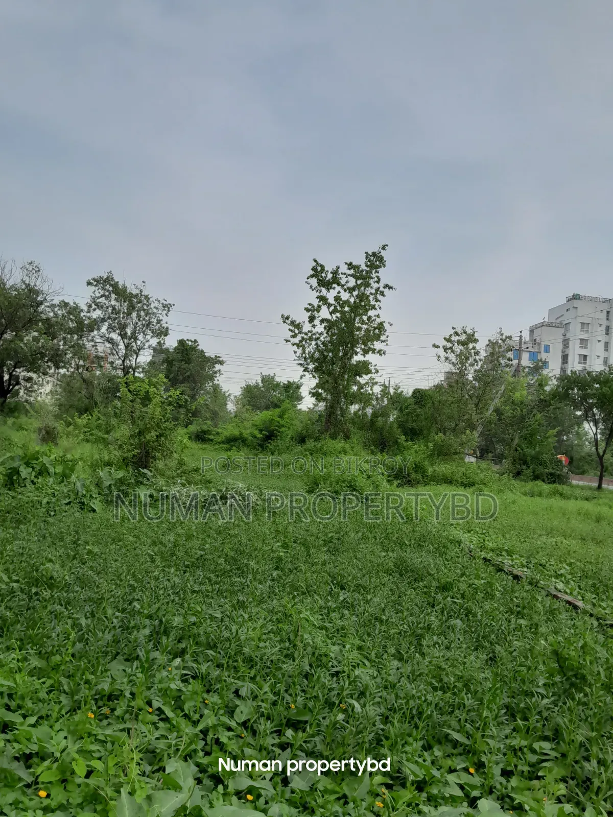 বসুন্ধরা আবাসিক এলাকায় ৫ কাঠার দক্ষিণমুখী প্লট বিক্রয় হবে