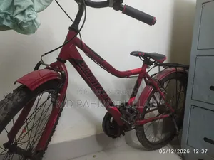 Seventy One Cycle 24 Size