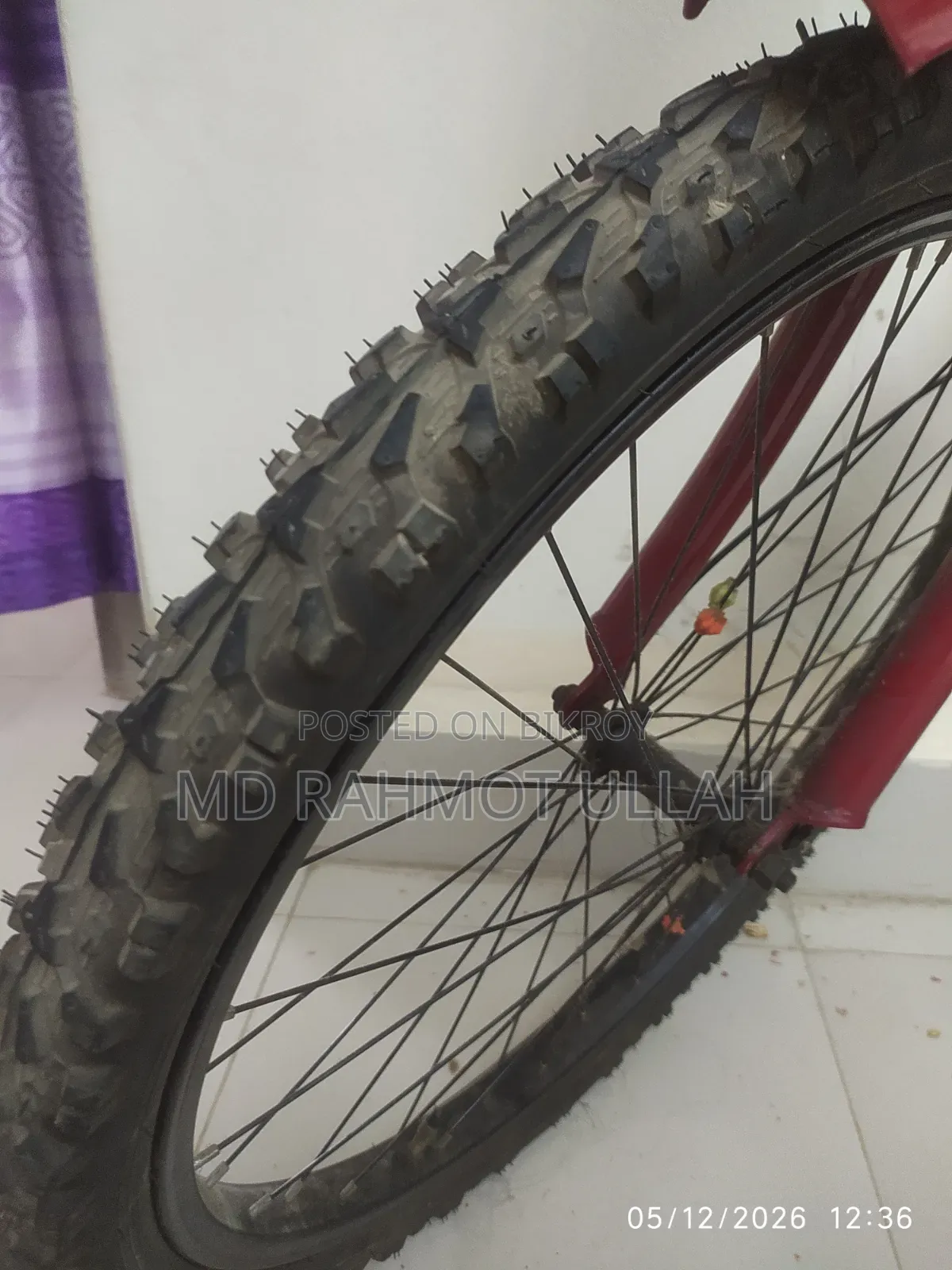 Seventy One Cycle 24 Size