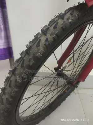 Seventy One Cycle 24 Size