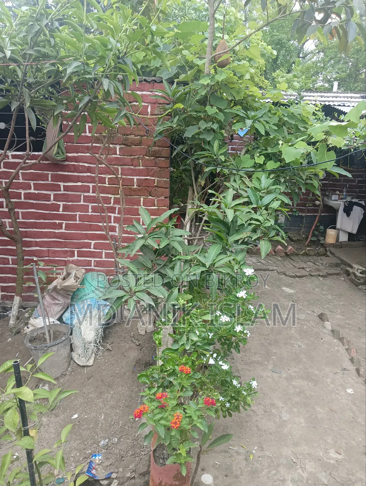 Furnished 5-bedroom Room Parlour in Court Station for Sale