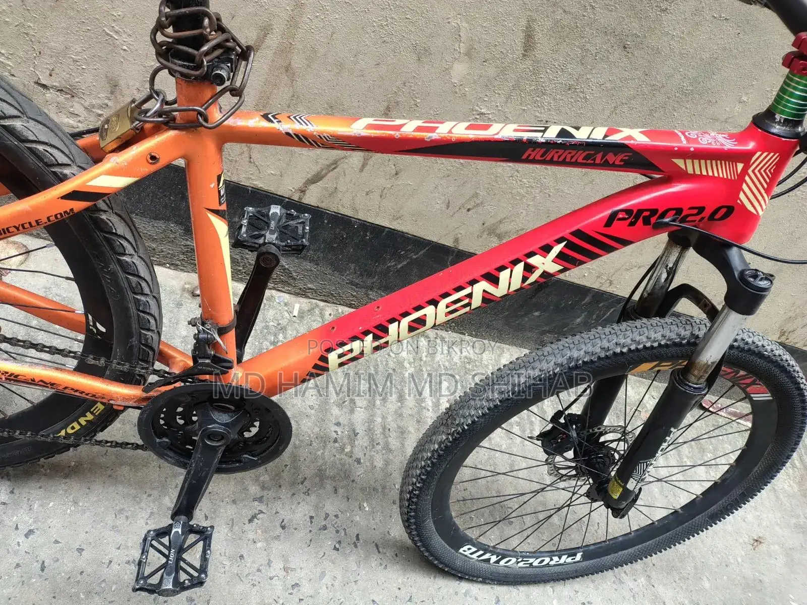 Phoenix Cycle