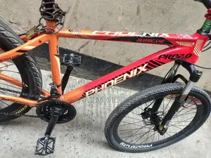 Phoenix Cycle