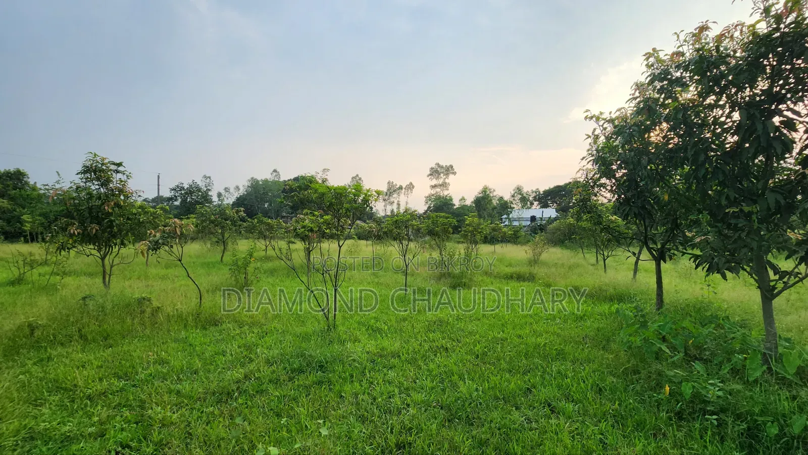 ৪০০ শতাংশ জমি বিক্রয়ের জন্য