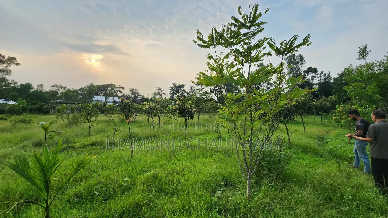 ৪০০ শতাংশ জমি বিক্রয়ের জন্য