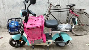 ই বাইক বিক্রি করা হবে।