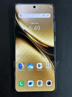 Vivo X200 Pro 512 GB Gray