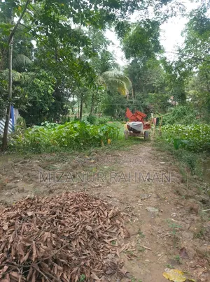 🔥 জরুরি জমি বিক্রি | এখনই বাড়ি করার উপযোগী! 🔥