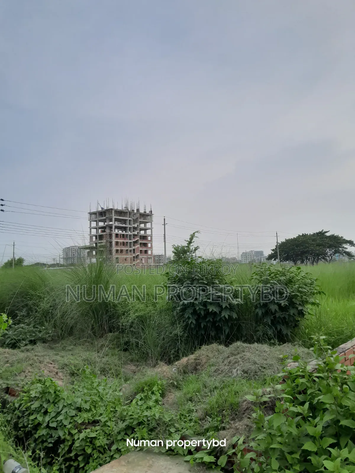 ১০ কাঠা দক্ষিণমুখী বসুন্ধরা আবাসিক এলাকার প্লট বিক্রয়ের জন্য