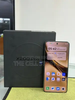 Vivo X200 Pro 256 GB Gray