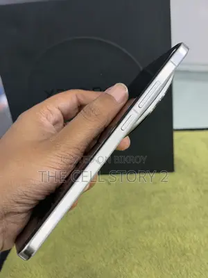 Vivo X200 Pro 256 GB Gray