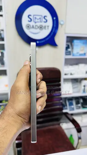 Samsung Galaxy S25 Ultra 256 GB Gray