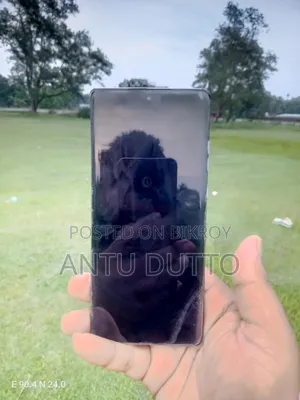 Motorola Edge 50 Fusion 256 GB Gray