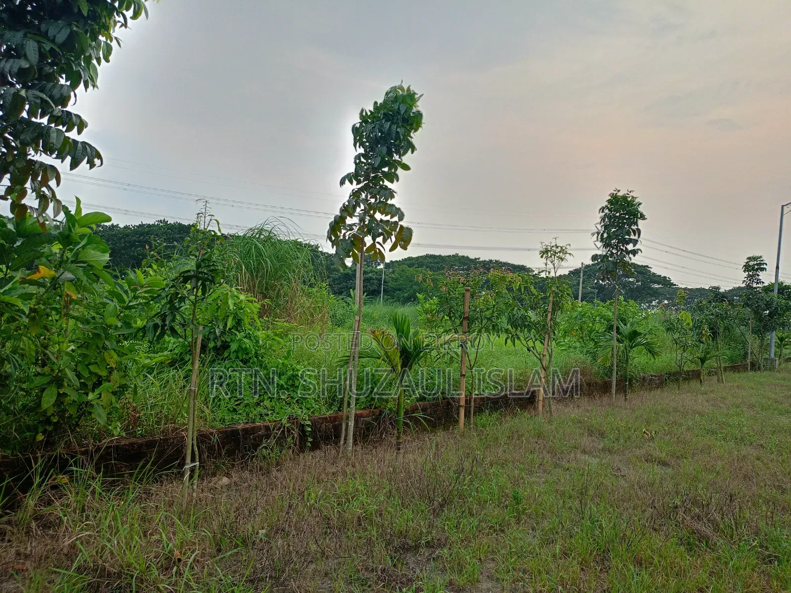 Ready plot for sale to build a house now