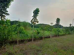 Ready plot for sale to build a house now